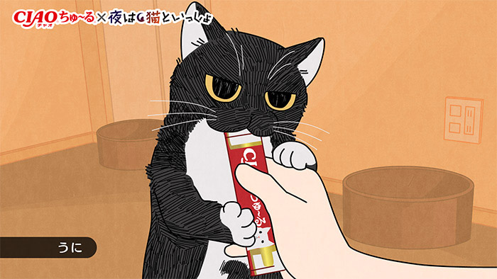 アニメ『夜は猫といっしょ』×CIAOちゅ～るコラボ | SPECIAL | TVアニメ