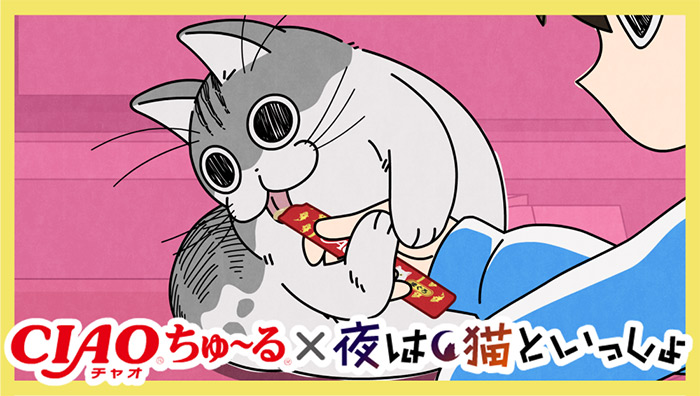 NEWS | アニメ『夜は猫といっしょ』×CIAOちゅ～るコラボ決定！